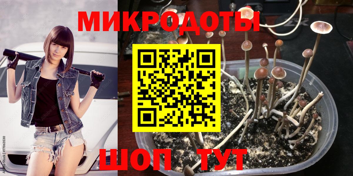 Галлюциногенные грибы мицелий  Псилоцибиновые грибы Psilocybe  Кстово  Вход с VPN 