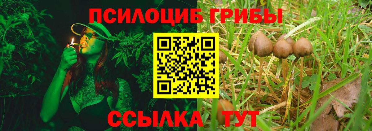 Галлюциногенные грибы Cubensis Кстово